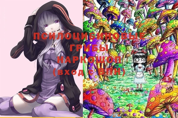 ПСИЛОЦИБИНОВЫЕ ГРИБЫ Алзамай
