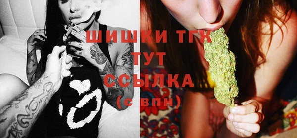 ГАЛЛЮЦИНОГЕННЫЕ ГРИБЫ Аркадак