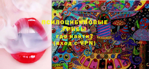 ГАЛЛЮЦИНОГЕННЫЕ ГРИБЫ Аркадак
